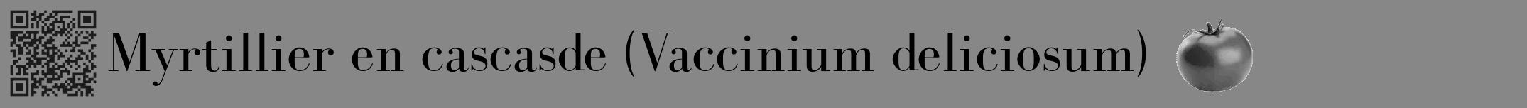 Étiquette de : Vaccinium deliciosum - format a - style noire12bod avec qrcode et comestibilité simplifiée