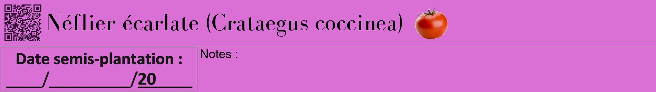 Étiquette de : Crataegus coccinea - format a - style noire52bod avec qrcode et comestibilité simplifiée