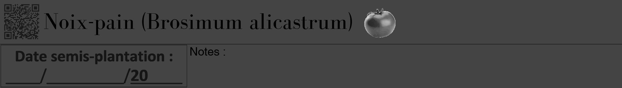 Étiquette de : Brosimum alicastrum - format a - style noire48bod avec qrcode et comestibilité simplifiée