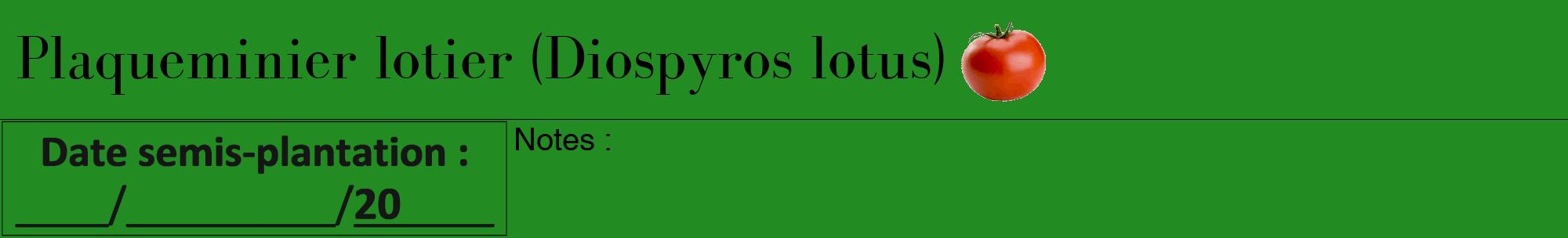 Étiquette de : Diospyros lotus - format a - style noire10bod avec comestibilité simplifiée