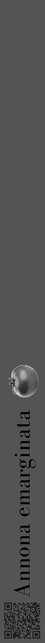 Étiquette de : Annona emarginata - format a - style noire30bod avec qrcode et comestibilité simplifiée - position verticale