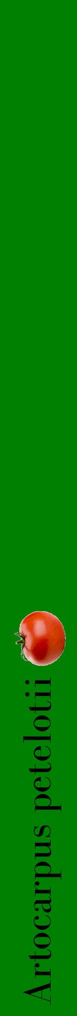 Étiquette de : Artocarpus petelotii - format a - style noire9bod avec comestibilité simplifiée