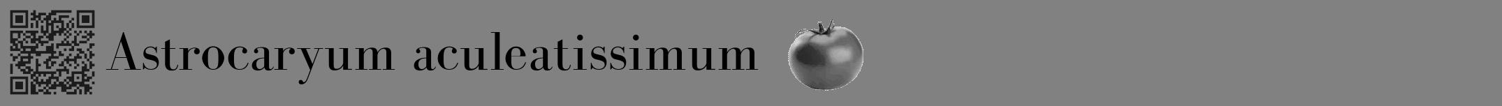 Étiquette de : Astrocaryum aculeatissimum - format a - style noire50bod avec qrcode et comestibilité simplifiée