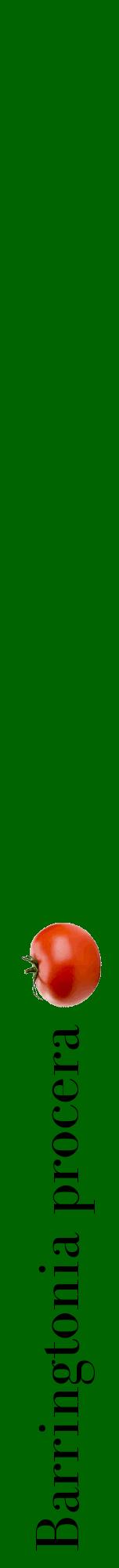 Étiquette de : Barringtonia procera - format a - style noire8bod avec comestibilité simplifiée