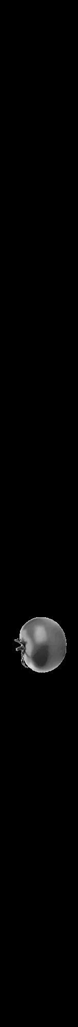 Étiquette de : Fuchsia microphylla - format a - style noire59bod avec comestibilité simplifiée - position verticale