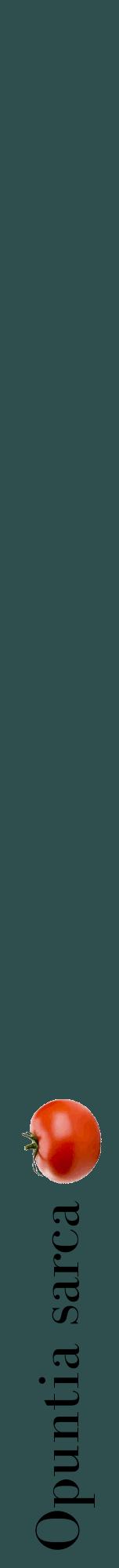 Étiquette de : Opuntia sarca - format a - style noire58bod avec comestibilité simplifiée