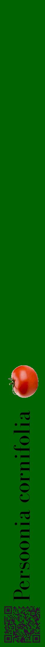 Étiquette de : Persoonia cornifolia - format a - style noire8bod avec qrcode et comestibilité simplifiée
