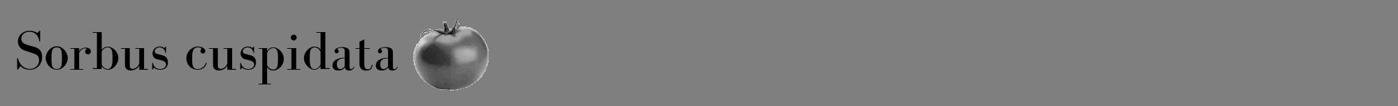 Étiquette de : Sorbus cuspidata - format a - style noire57bod avec comestibilité simplifiée