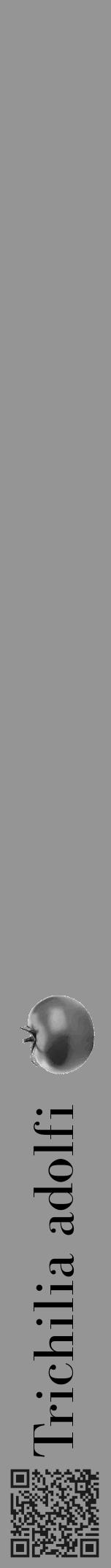 Étiquette de : Trichilia adolfi - format a - style noire16bod avec qrcode et comestibilité simplifiée - position verticale