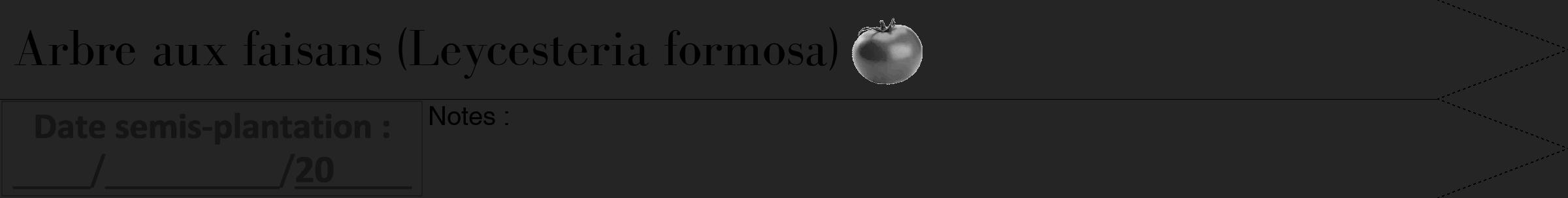 Étiquette de : Leycesteria formosa - format b - style noire47bod avec comestibilité simplifiée