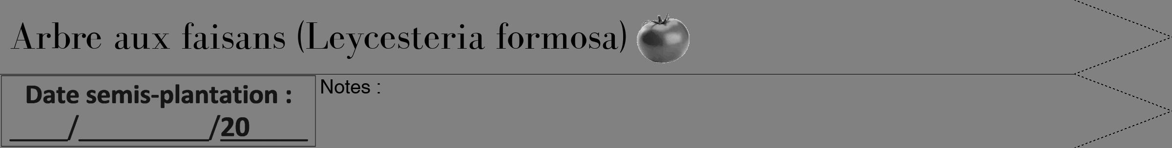 Étiquette de : Leycesteria formosa - format b - style noire50bod avec comestibilité simplifiée