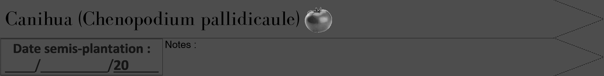 Étiquette de : Chenopodium pallidicaule - format b - style noire28bod avec comestibilité simplifiée