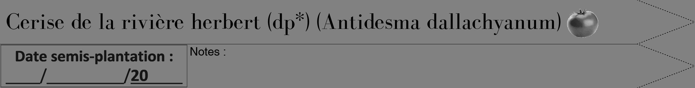 Étiquette de : Antidesma dallachyanum - format b - style noire50bod avec comestibilité simplifiée