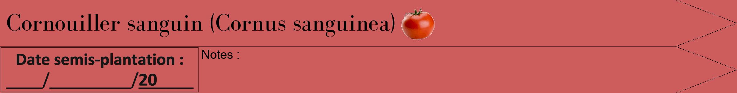 Étiquette de : Cornus sanguinea - format b - style noire35bod avec comestibilité simplifiée