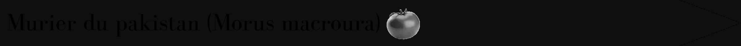 Étiquette de : Morus macroura - format b - style noire7bod avec comestibilité simplifiée