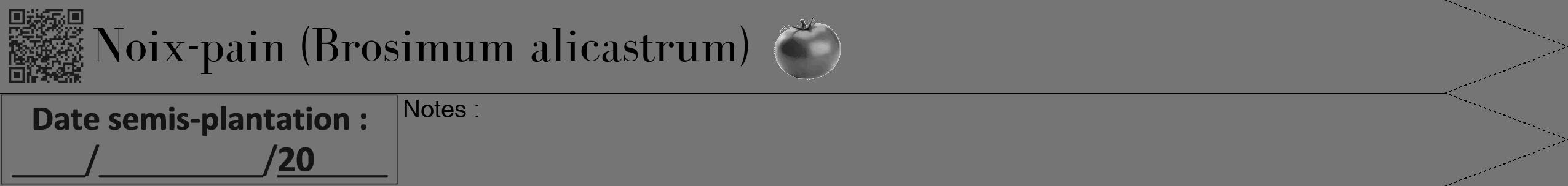 Étiquette de : Brosimum alicastrum - format b - style noire5bod avec qrcode et comestibilité simplifiée