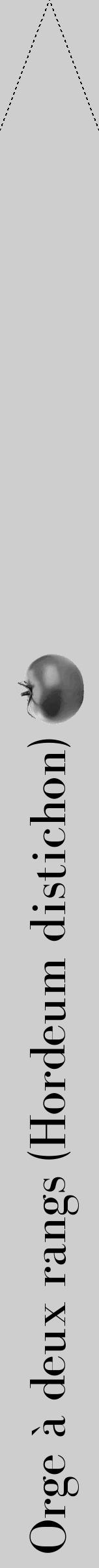 Étiquette de : Hordeum distichon - format b - style noire17bod avec comestibilité simplifiée - position verticale