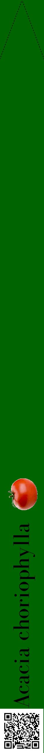 Étiquette de : Acacia choriophylla - format b - style noire8bod avec qrcode et comestibilité simplifiée