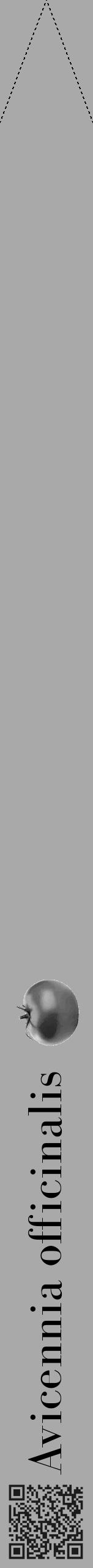 Étiquette de : Avicennia officinalis - format b - style noire13bod avec qrcode et comestibilité simplifiée - position verticale