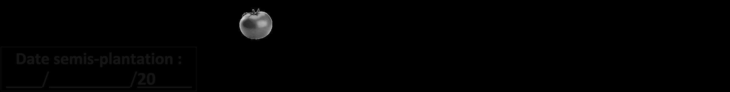 Étiquette de : Elateriospermum tapos - format b - style noire59bod avec comestibilité simplifiée