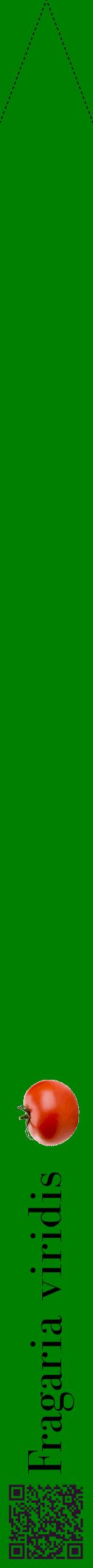 Étiquette de : Fragaria viridis - format b - style noire9bod avec qrcode et comestibilité simplifiée