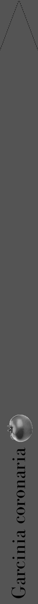 Étiquette de : Garcinia coronaria - format b - style noire36bod avec comestibilité simplifiée - position verticale
