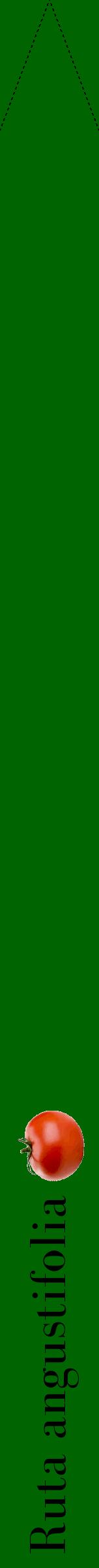 Étiquette de : Ruta angustifolia - format b - style noire8bod avec comestibilité simplifiée