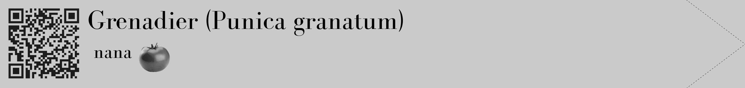 Étiquette de : Punica granatum nana - format c - style noire21simple_simple_simplebod avec qrcode et comestibilité simplifiée