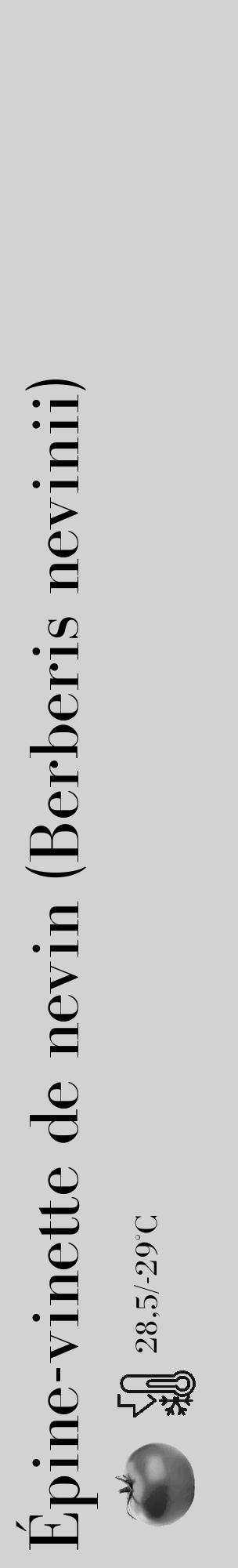 Étiquette de : Berberis nevinii - format c - style noire14_basique_basiquebod avec comestibilité simplifiée - position verticale