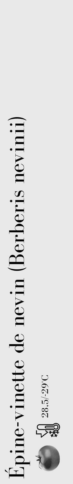 Étiquette de : Berberis nevinii - format c - style noire55_basique_basiquebod avec comestibilité simplifiée - position verticale