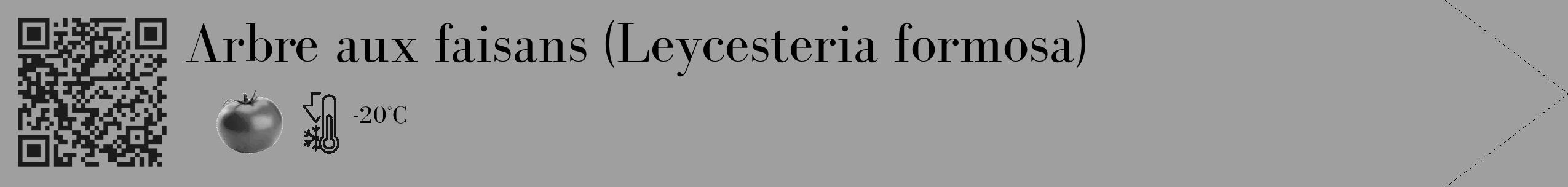 Étiquette de : Leycesteria formosa - format c - style noire24_simple_simplebod avec qrcode et comestibilité simplifiée