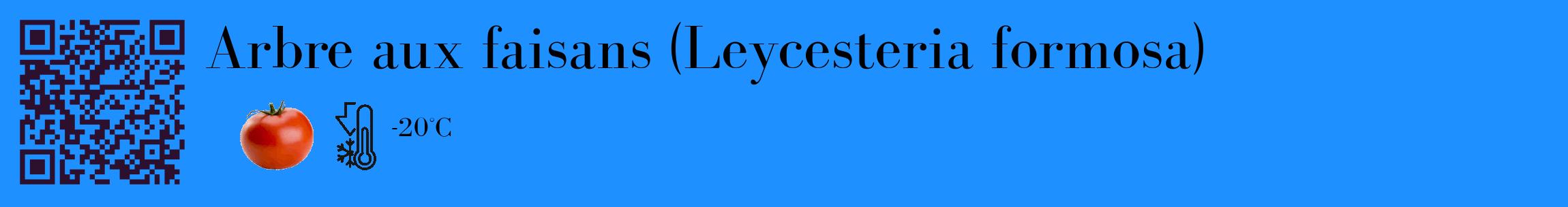 Étiquette de : Leycesteria formosa - format c - style noire3_basique_basiquebod avec qrcode et comestibilité simplifiée
