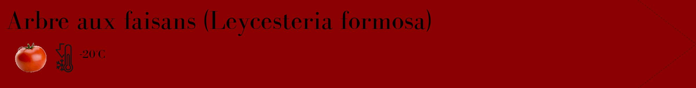 Étiquette de : Leycesteria formosa - format c - style noire34_simple_simplebod avec comestibilité simplifiée