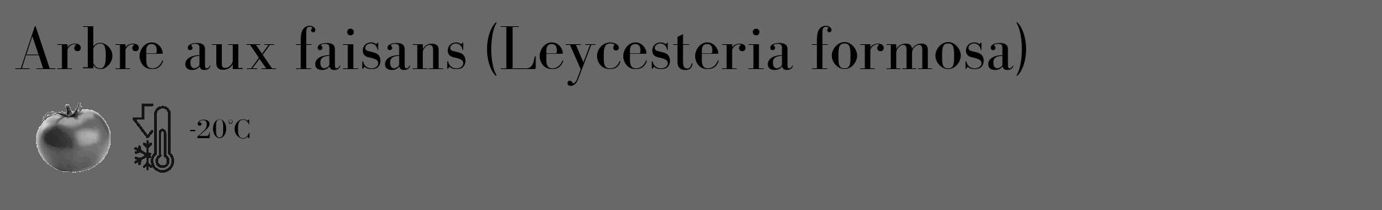 Étiquette de : Leycesteria formosa - format c - style noire6_basique_basiquebod avec comestibilité simplifiée
