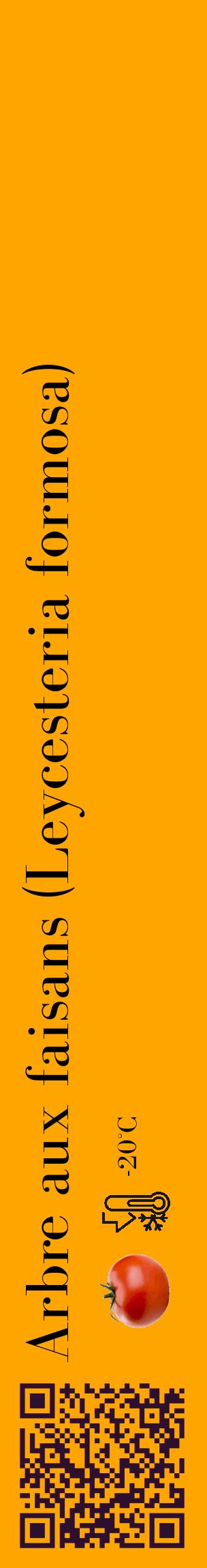 Étiquette de : Leycesteria formosa - format c - style noire22_basique_basiquebod avec qrcode et comestibilité simplifiée - position verticale