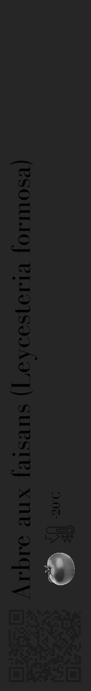 Étiquette de : Leycesteria formosa - format c - style noire29_basique_basiquebod avec qrcode et comestibilité simplifiée - position verticale