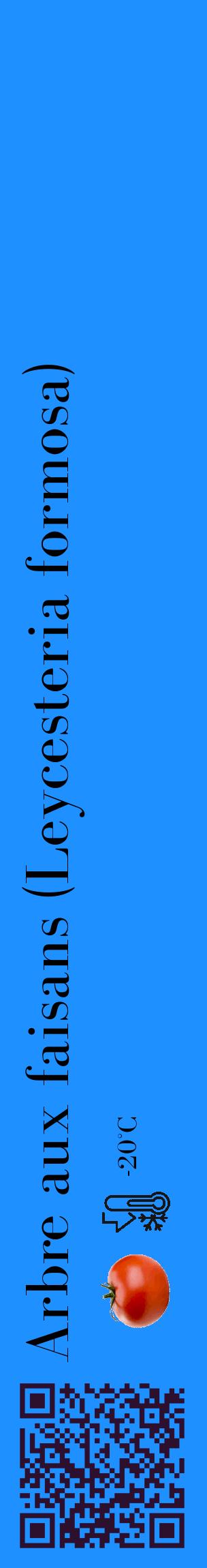 Étiquette de : Leycesteria formosa - format c - style noire3_basique_basiquebod avec qrcode et comestibilité simplifiée - position verticale