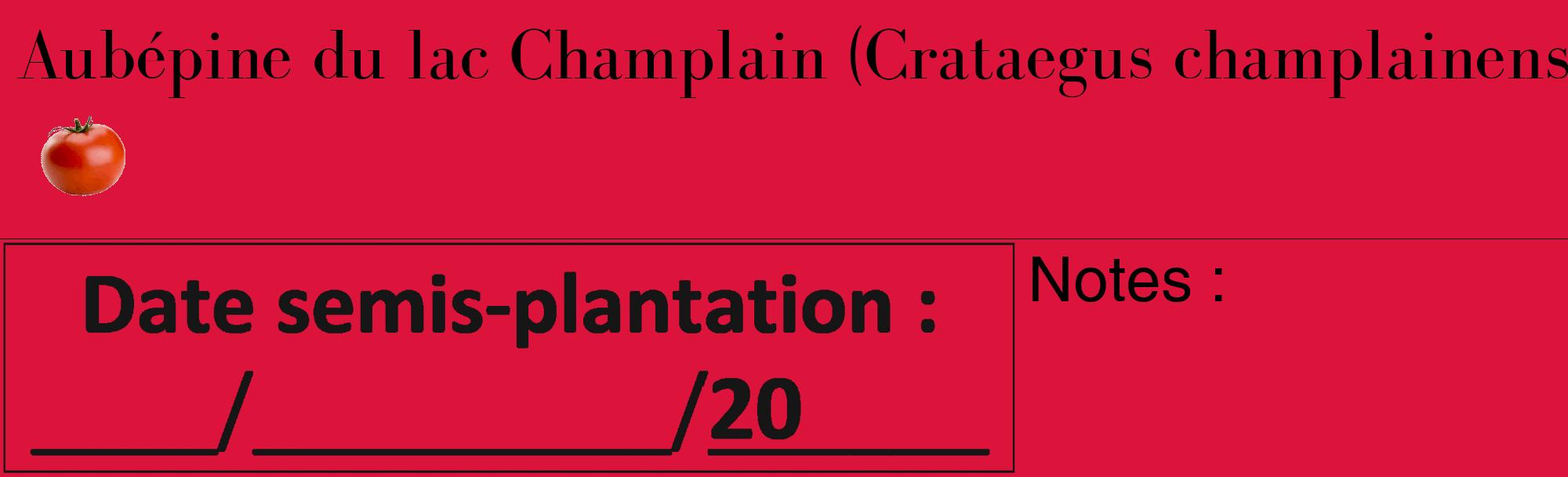 Étiquette de : Crataegus champlainensis - format c - style noire36_basique_basiquebod avec comestibilité simplifiée