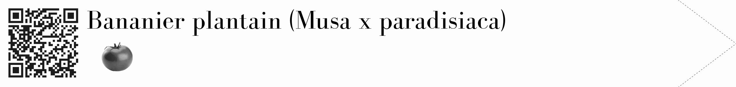 Étiquette de : Musa x paradisiaca - format c - style noire19_simple_simplebod avec qrcode et comestibilité simplifiée