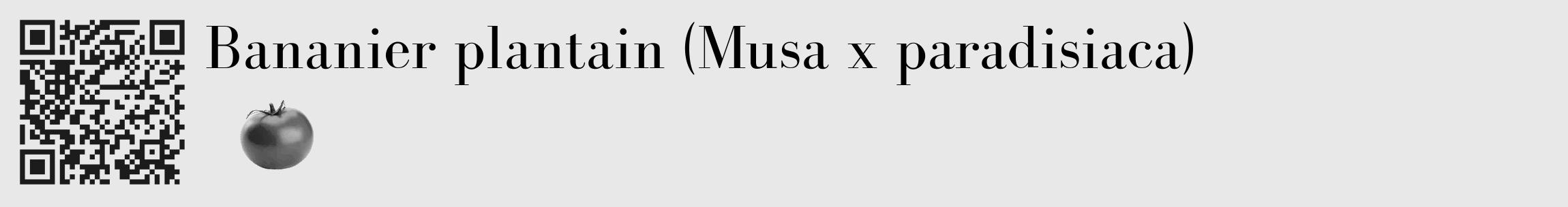Étiquette de : Musa x paradisiaca - format c - style noire55_basique_basiquebod avec qrcode et comestibilité simplifiée