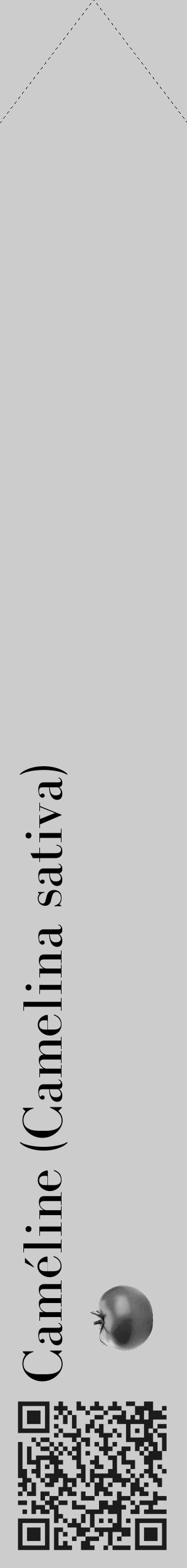 Étiquette de : Camelina sativa - format c - style noire0_simple_simplebod avec qrcode et comestibilité simplifiée - position verticale