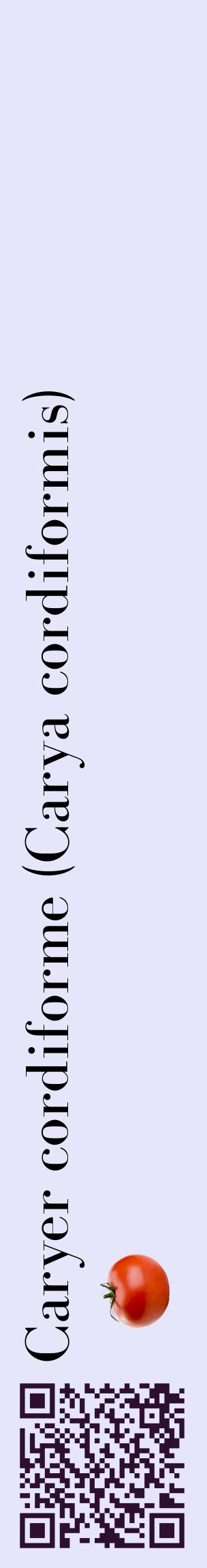 Étiquette de : Carya cordiformis - format c - style noire55_basiquebod avec qrcode et comestibilité simplifiée
