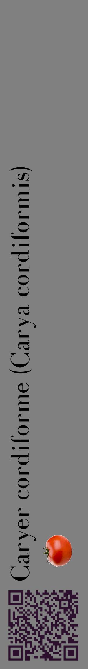 Étiquette de : Carya cordiformis - format c - style noire57_basiquebod avec qrcode et comestibilité simplifiée