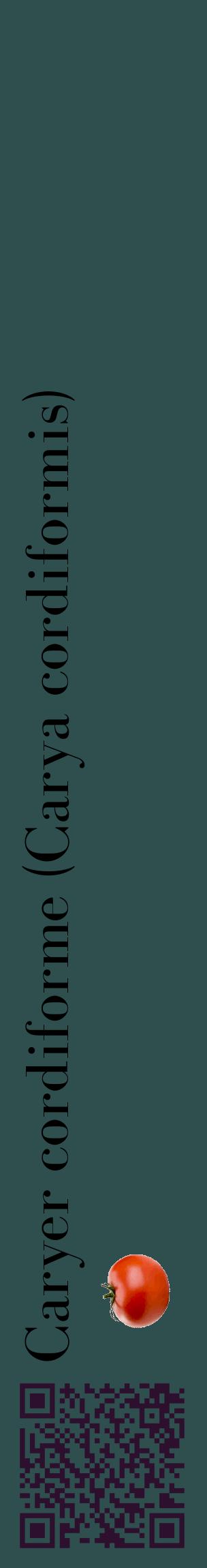 Étiquette de : Carya cordiformis - format c - style noire58_basiquebod avec qrcode et comestibilité simplifiée