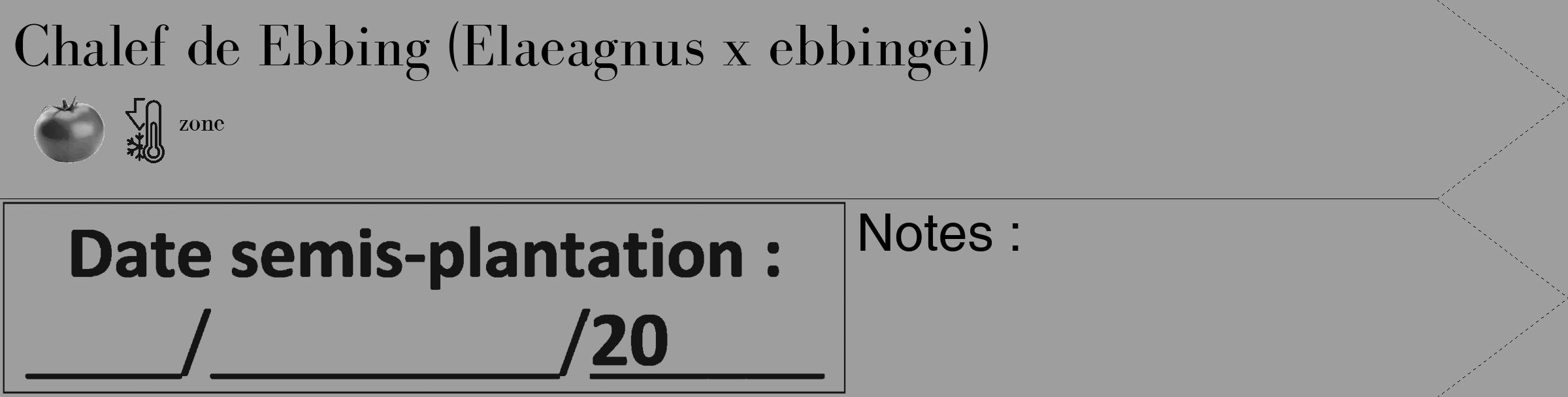 Étiquette de : Elaeagnus x ebbingei - format c - style noire23_simple_simplebod avec comestibilité simplifiée