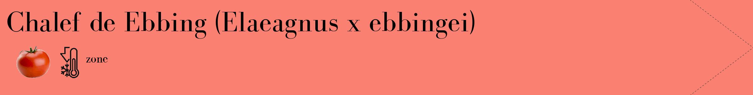 Étiquette de : Elaeagnus x ebbingei - format c - style noire38_simple_simplebod avec comestibilité simplifiée