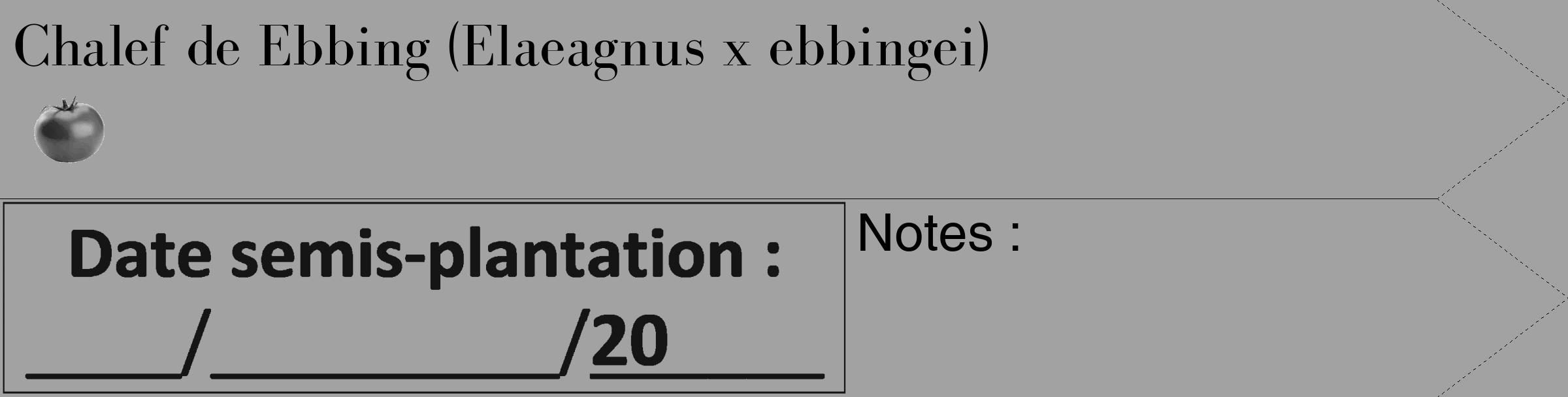 Étiquette de : Elaeagnus x ebbingei - format c - style noire38_simple_simplebod avec comestibilité simplifiée