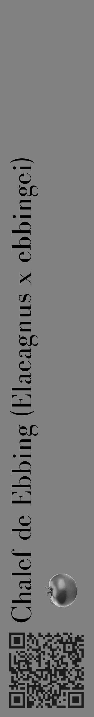 Étiquette de : Elaeagnus x ebbingei - format c - style noire50_basique_basiquebod avec qrcode et comestibilité simplifiée - position verticale