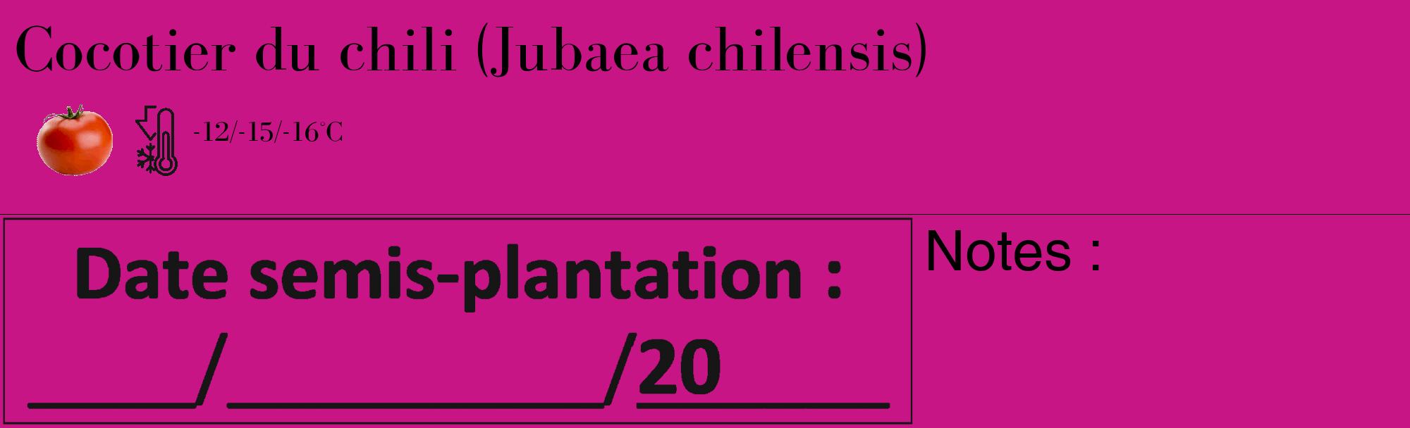 Étiquette de : Jubaea chilensis - format c - style noire45_basique_basiquebod avec comestibilité simplifiée