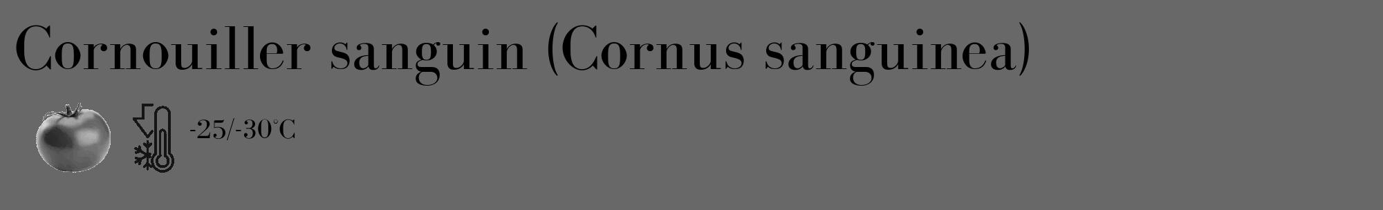 Étiquette de : Cornus sanguinea - format c - style noire43_basique_basiquebod avec comestibilité simplifiée